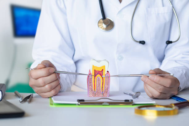 Best Emergency Denture Repair in Montesano, WA